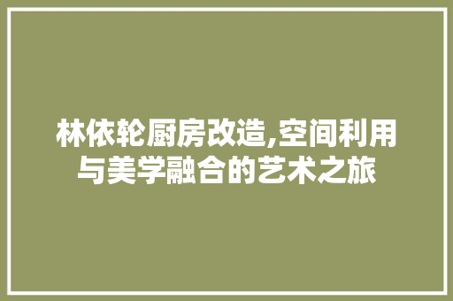 林依轮厨房改造,空间利用与美学融合的艺术之旅 隔断设计