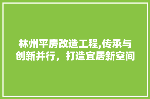 林州平房改造工程,传承与创新并行，打造宜居新空间