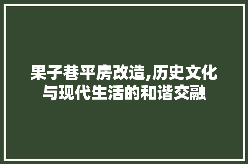 果子巷平房改造,历史文化与现代生活的和谐交融