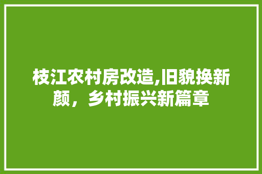 枝江农村房改造,旧貌换新颜，乡村振兴新篇章