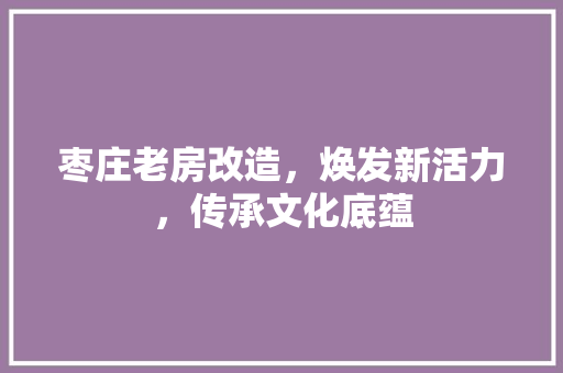 枣庄老房改造，焕发新活力，传承文化底蕴