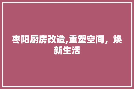 枣阳厨房改造,重塑空间，焕新生活