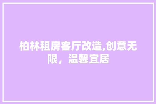 柏林租房客厅改造,创意无限，温馨宜居