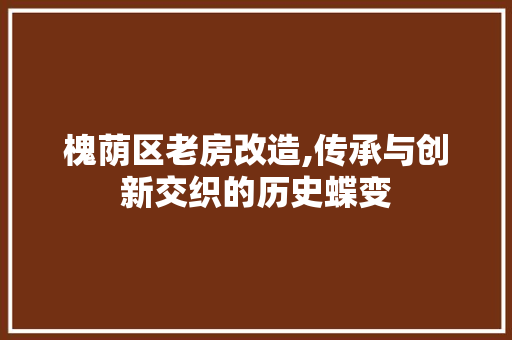 槐荫区老房改造,传承与创新交织的历史蝶变