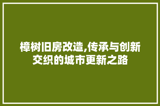樟树旧房改造,传承与创新交织的城市更新之路