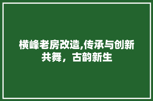 横峰老房改造,传承与创新共舞，古韵新生