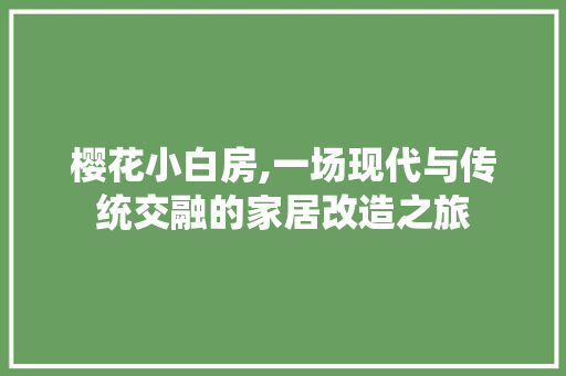 樱花小白房,一场现代与传统交融的家居改造之旅 墙面装饰