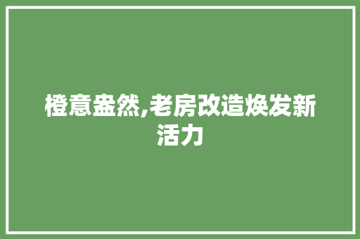 橙意盎然,老房改造焕发新活力