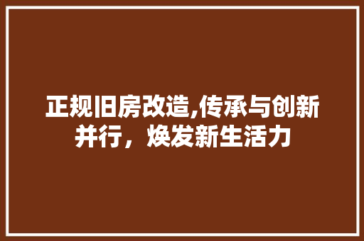 正规旧房改造,传承与创新并行，焕发新生活力
