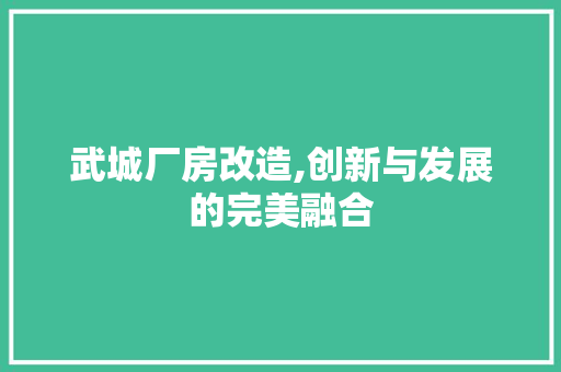 武城厂房改造,创新与发展的完美融合