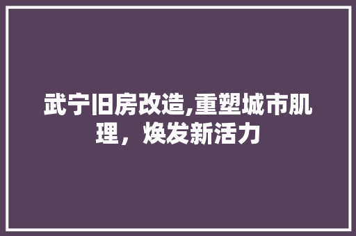 武宁旧房改造,重塑城市肌理，焕发新活力