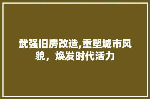 武强旧房改造,重塑城市风貌，焕发时代活力