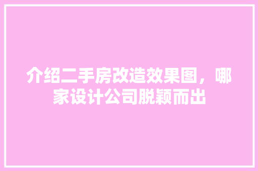 介绍二手房改造效果图，哪家设计公司脱颖而出 庭院装修