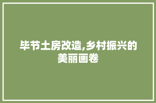 毕节土房改造,乡村振兴的美丽画卷