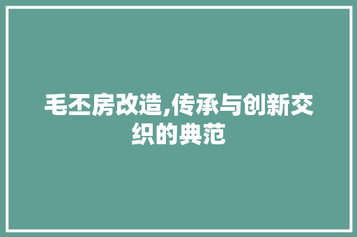 毛丕房改造,传承与创新交织的典范