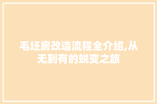 毛坯房改造流程全介绍,从无到有的蜕变之旅 墙面装饰
