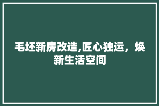 毛坯新房改造,匠心独运，焕新生活空间