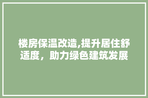 楼房保温改造,提升居住舒适度，助力绿色建筑发展