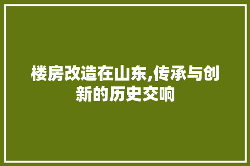 楼房改造在山东,传承与创新的历史交响 景观设计