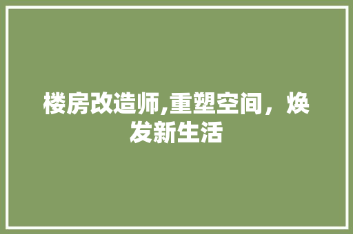 楼房改造师,重塑空间，焕发新生活