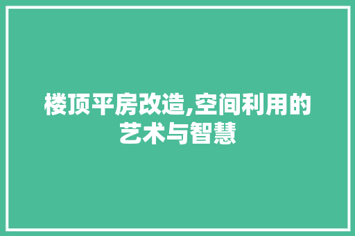 楼顶平房改造,空间利用的艺术与智慧