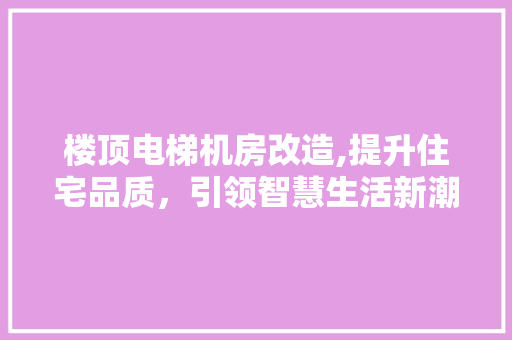 楼顶电梯机房改造,提升住宅品质，引领智慧生活新潮流