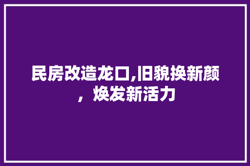 民房改造龙口,旧貌换新颜，焕发新活力
