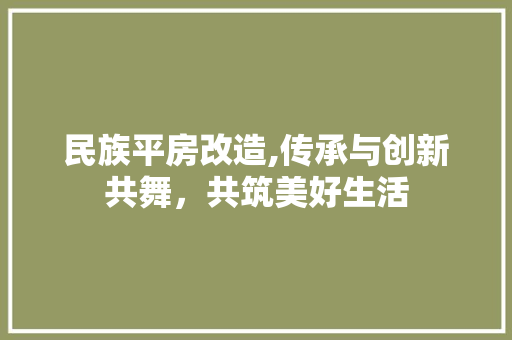 民族平房改造,传承与创新共舞，共筑美好生活