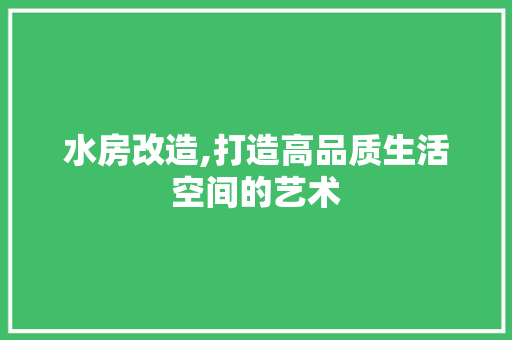 水房改造,打造高品质生活空间的艺术