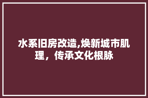 水系旧房改造,焕新城市肌理，传承文化根脉