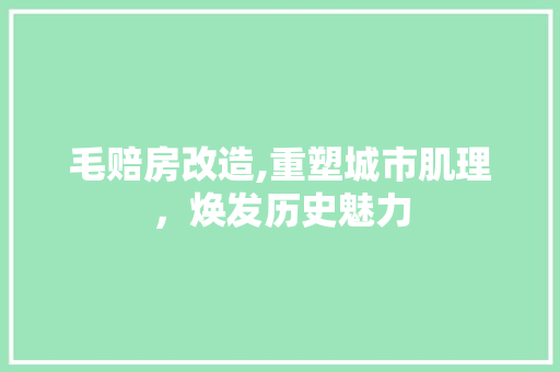 毛赔房改造,重塑城市肌理，焕发历史魅力 隔断设计