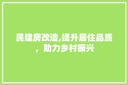 民建房改造,提升居住品质，助力乡村振兴