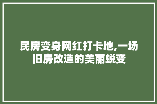 民房变身网红打卡地,一场旧房改造的美丽蜕变 装修攻略