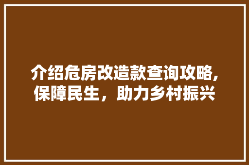 介绍危房改造款查询攻略,保障民生，助力乡村振兴 景观设计