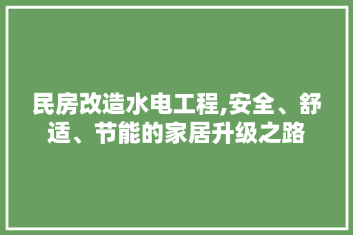民房改造水电工程,安全、舒适、节能的家居升级之路 墙面装饰