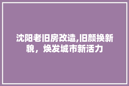 沈阳老旧房改造,旧颜换新貌，焕发城市新活力