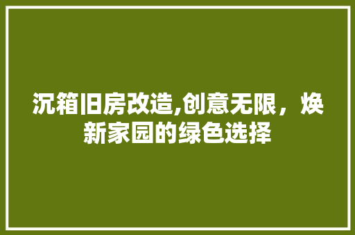 沉箱旧房改造,创意无限，焕新家园的绿色选择
