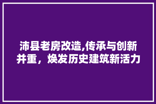 沛县老房改造,传承与创新并重，焕发历史建筑新活力
