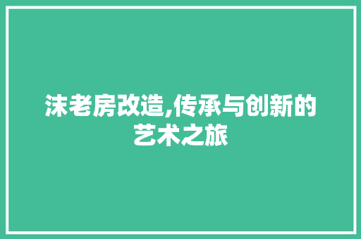 沫老房改造,传承与创新的艺术之旅