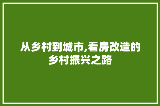 从乡村到城市,看房改造的乡村振兴之路