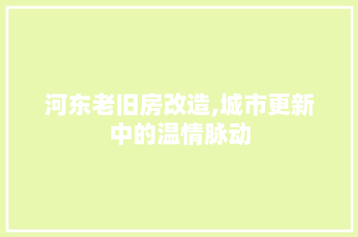 河东老旧房改造,城市更新中的温情脉动 景观设计