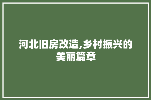 河北旧房改造,乡村振兴的美丽篇章 门窗装修