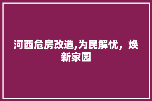 河西危房改造,为民解忧，焕新家园 景观设计