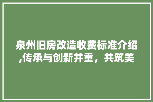 泉州旧房改造收费标准介绍,传承与创新并重，共筑美好家园