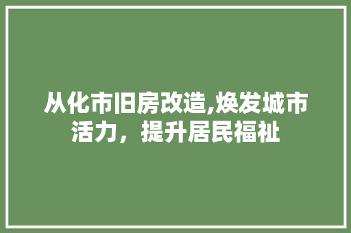 从化市旧房改造,焕发城市活力，提升居民福祉
