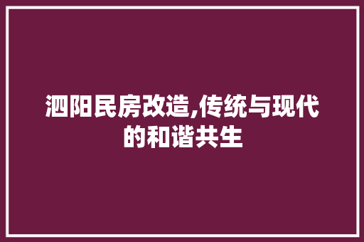 泗阳民房改造,传统与现代的和谐共生