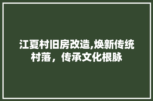 江夏村旧房改造,焕新传统村落，传承文化根脉