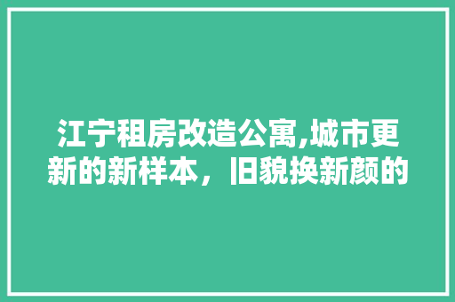 江宁租房改造公寓,城市更新的新样本，旧貌换新颜的居住奇迹 隔断设计
