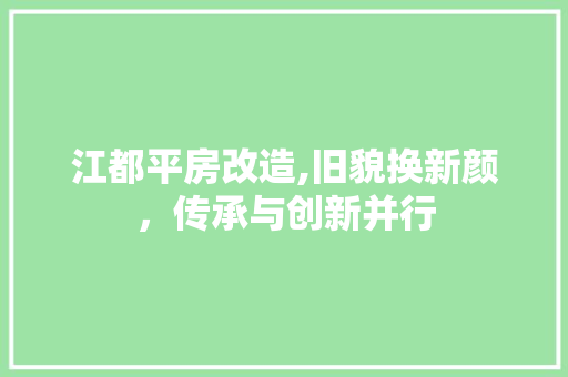 江都平房改造,旧貌换新颜，传承与创新并行