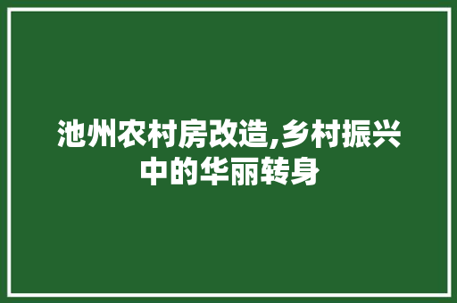 池州农村房改造,乡村振兴中的华丽转身